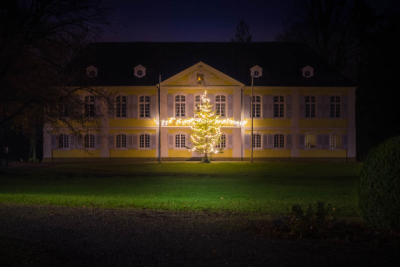 Weihnachtsbaum vor dem Schloss