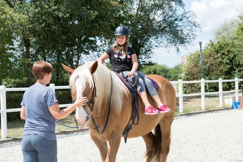 Tiertherapie mit Pferd